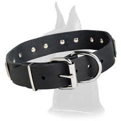 Great Dane Leather Dog Collar