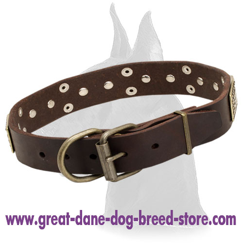 Great Dane Leather Collar with Nickel D-ring