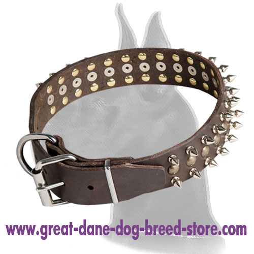 Pretty Leather Collar for Great Dane