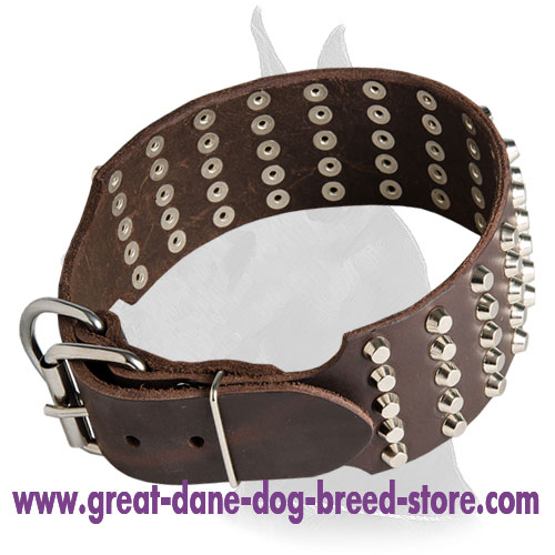 Comfortable Leather Collar With Nickel Pyramids for Great Dane