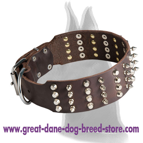 Extra Wide Leather Collar with Spikes and Pyramids for Great Dane