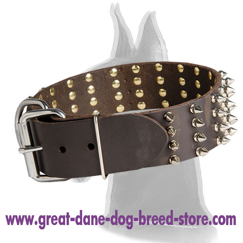Leather Collar for Great Dane with 4 Rows of Spikes