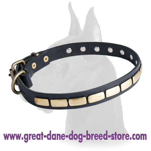 Unbelievable Leather Collar with plates