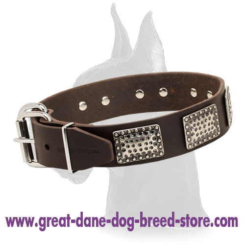 Designer Leather Collar for Great Dane