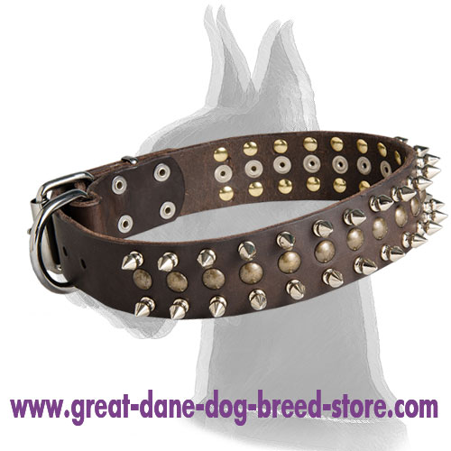 Leather Collar with Studs and Spikes for Great Dane