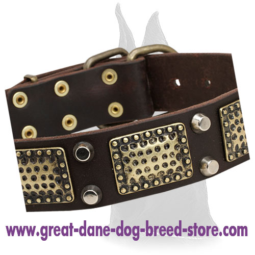 Daily Walking Great Dane Leather Collar