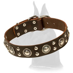 Brown Genuine Leather Collar for Great Dane Stylish Walking