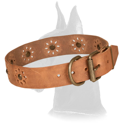 Tan Leather Collar for Great Dane Walking in Style