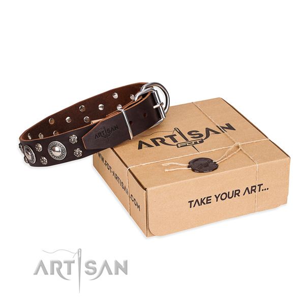 Day-to-day leather dog collar with cute studs