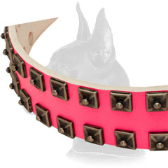 Studded Pink Leather Collar