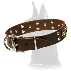 Brown Adorned Leather Collar