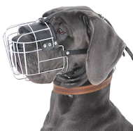 Great Dane Wire Basket dog muzzle - Large Dog Muzzle