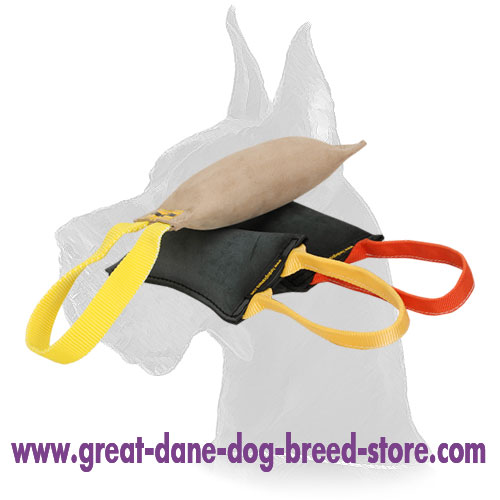 Bite Tug of Leather for Dog Training with Two Handles