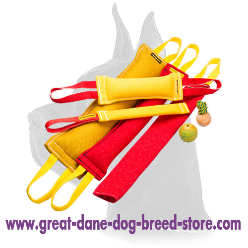 Great Dane Jute Bite Tug Set with a Gift