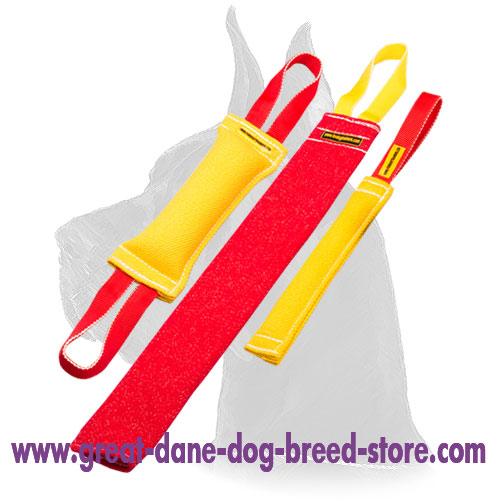 Great Dane French Linen Bite Tug Set with a Gift