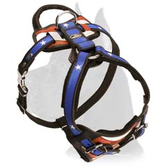Beautiful Harness for your dog