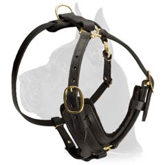 Great Dane Dog Harness with brass hardware