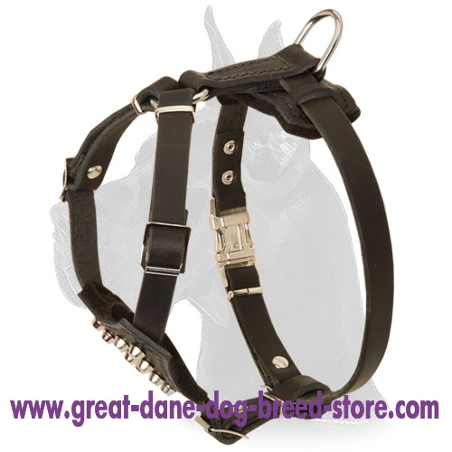 Universal Great Dane leather Dog Harness