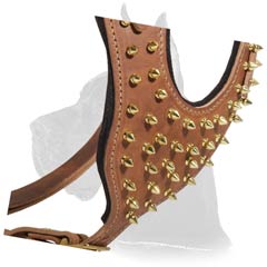 Great Dane Dog Harness with brass spikes