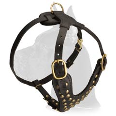 Fashionable Great Dane Leather Harness