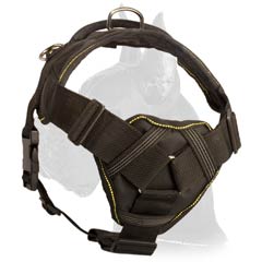 Great Dane Nylon Dog Harness with chest plate