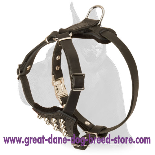 Leather Harness with handle to walk Great Dane