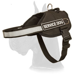 Nylon Great Dane Harness for Service Dog