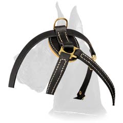 Fancy Leather Harness for puppy