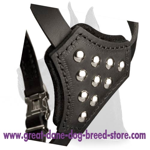 Universal Great Dane leather Dog Harness