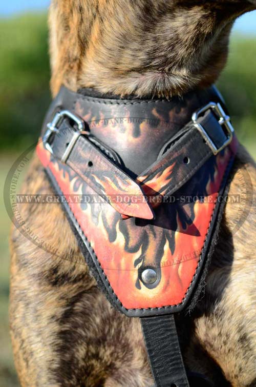 Chest Plate of Leather Great Dane Harness