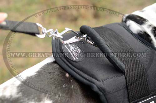 Stand Up Handle on Great Dane Harness