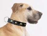 Nylon collars