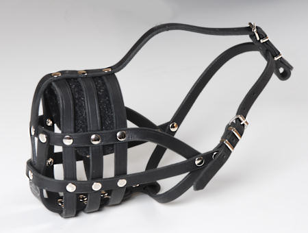 Everyday Light Weight Super Ventilation muzzle for Great Dane 