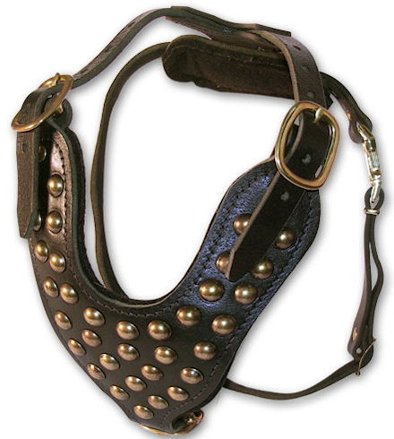 GREAT DANE Studded Leather Dog Harness -H15 - Click Image to Close