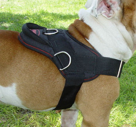   Breed Chart on Adjustable Big Dog Freedom Harness Great Dane Harness Lrg Jpg