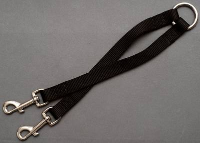 Stitched nylon coupler for walking 2 dogs for Great dane dog