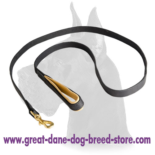 Brass Snap Hook on Leather Great Dane Leash