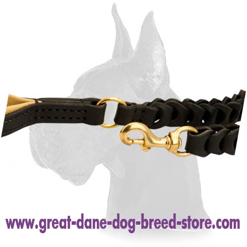 Awesome Great Dane Leather Dog Leash