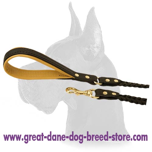 Great Dane Leather Dog Leash with strong snap hook