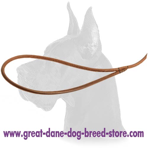 Great Dane leather Dog Leash