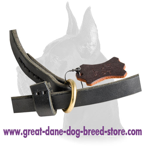 Leash and Slip Collar Combo for Great Dane