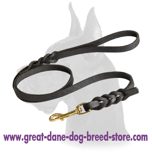Soft, Comfortable and Reliable Leather Dog Leash for Great Dane