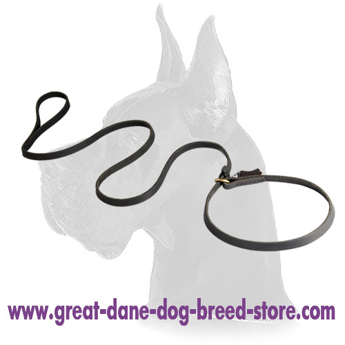 Choke Collar of Leather Dog Leash Combo