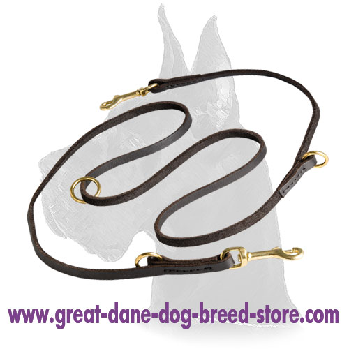 Leather Great Dane Leash with brass hardware