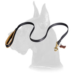 Nylon Great Dane leash with floating O-ring