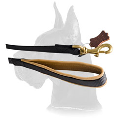 Great Dane nylon leash with soft durable handle