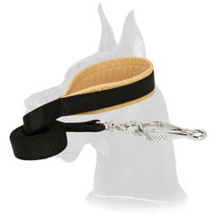 Nylon Great Dane leash with with Support Material on the Handle