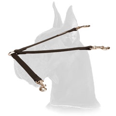Leather leash coupler for walking two dogs 