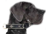 Leather collars