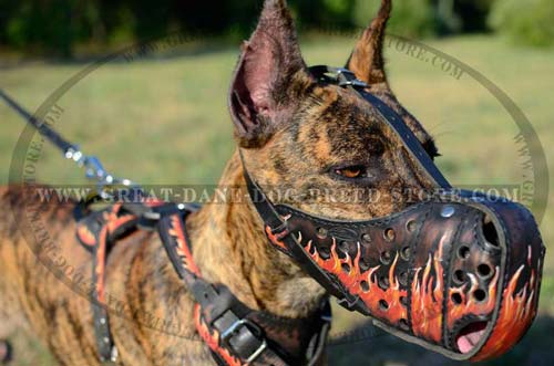 Painted Flames Leather Muzzle